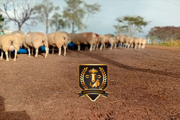 quemsomos-600x400-10